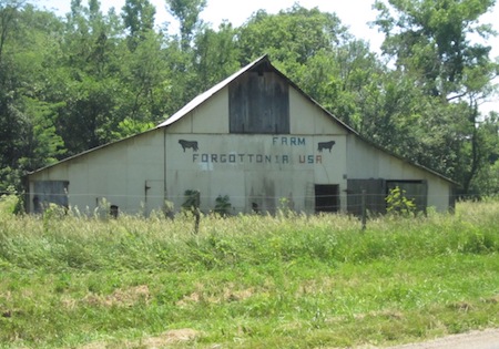 Forgottonia Barn